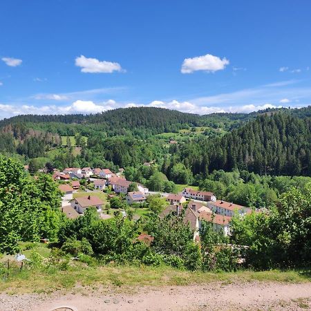 Appartement Au Centre Du Tholy Pour 5 Personnes Maximum Le Tholy Kültér fotó